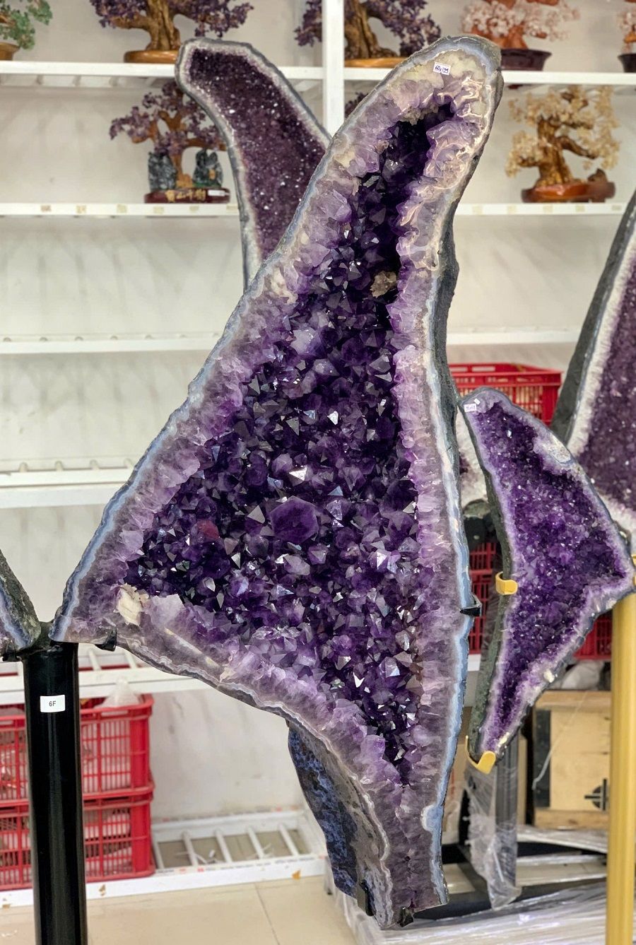 hoc_canh_buom_thach_anh_tim_2